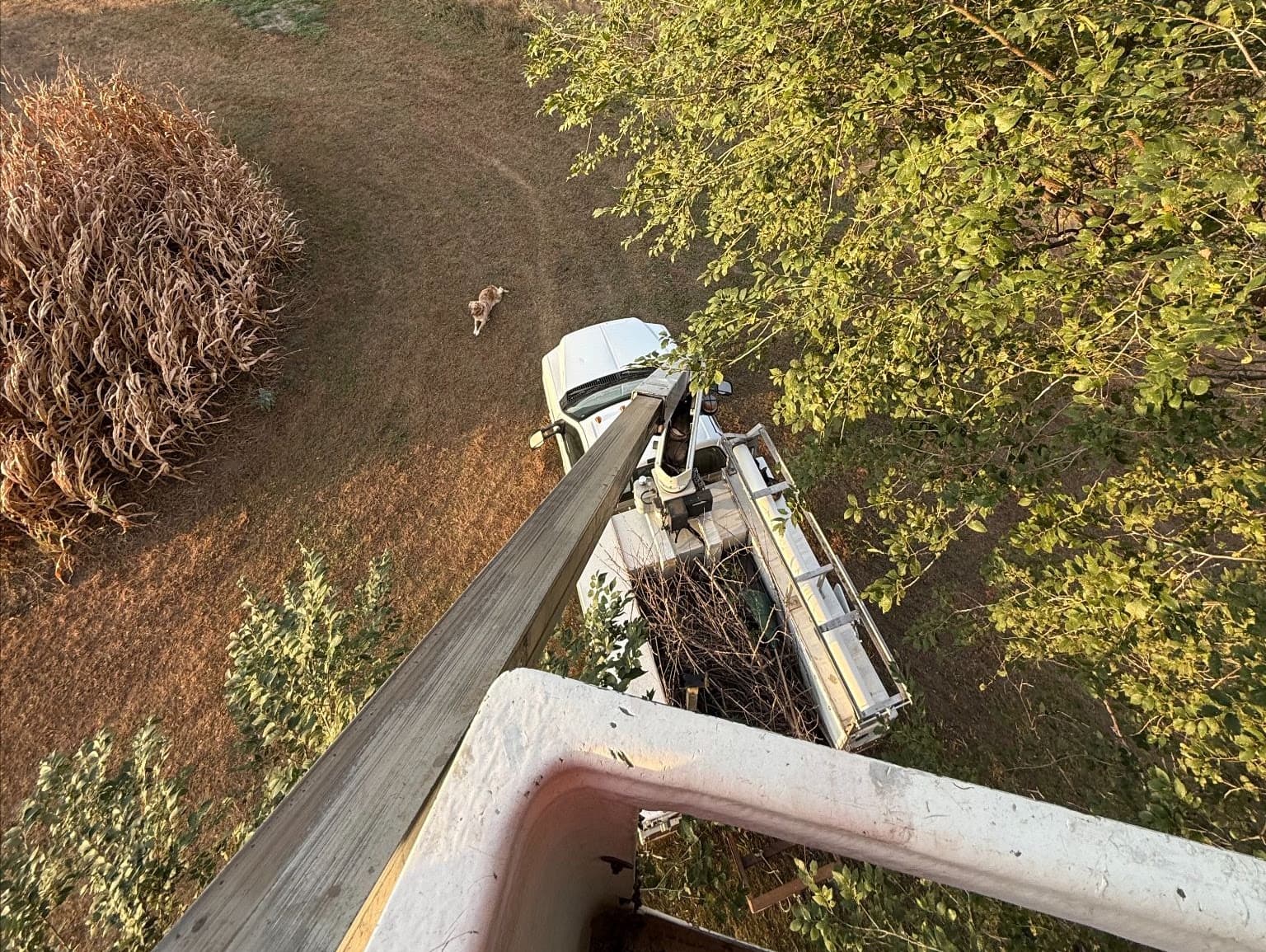 Looking down the boom from the lift bucket at the truck far below on the street