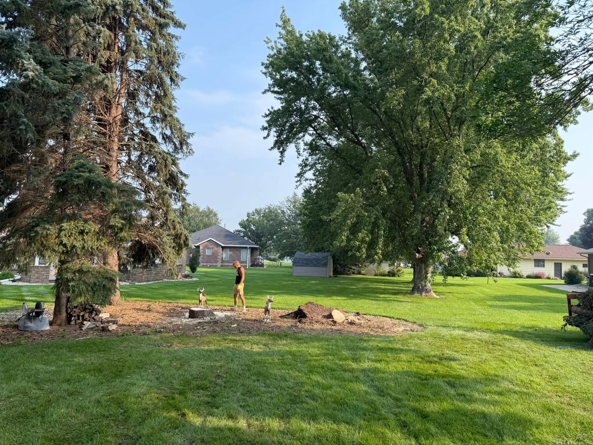 A crew member raking out the ground where a backyard tree was removed, lawn ornaments back in place
