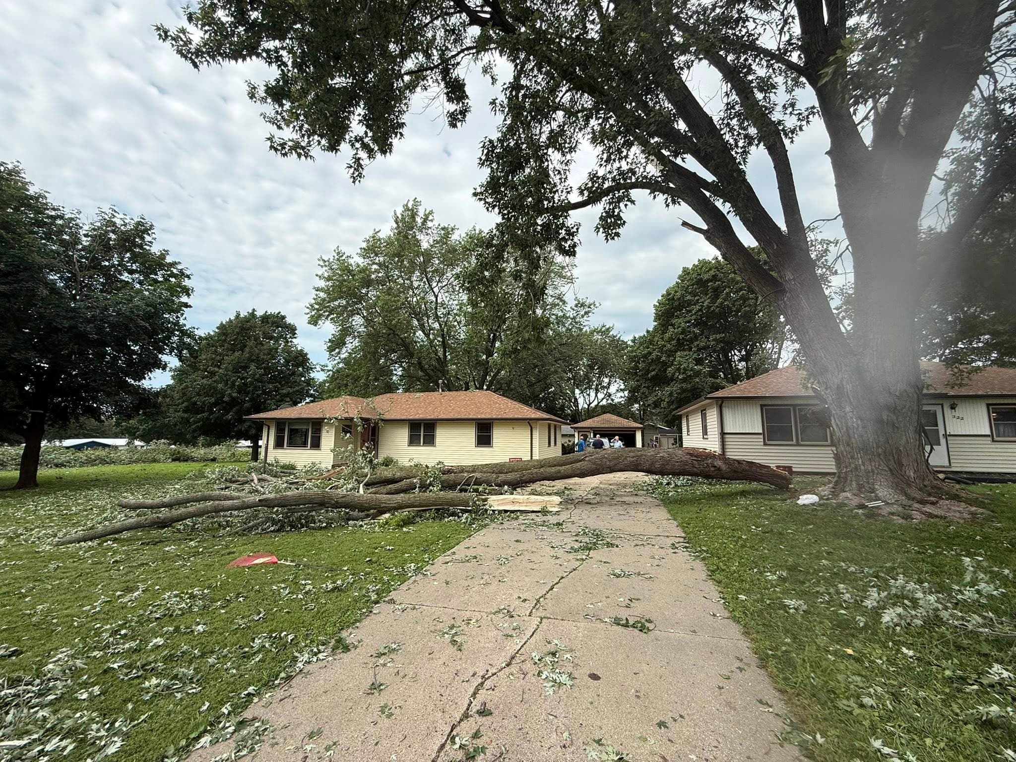 A massive storm-snapped limb lying between two houses, reaching from the trunk to the front door