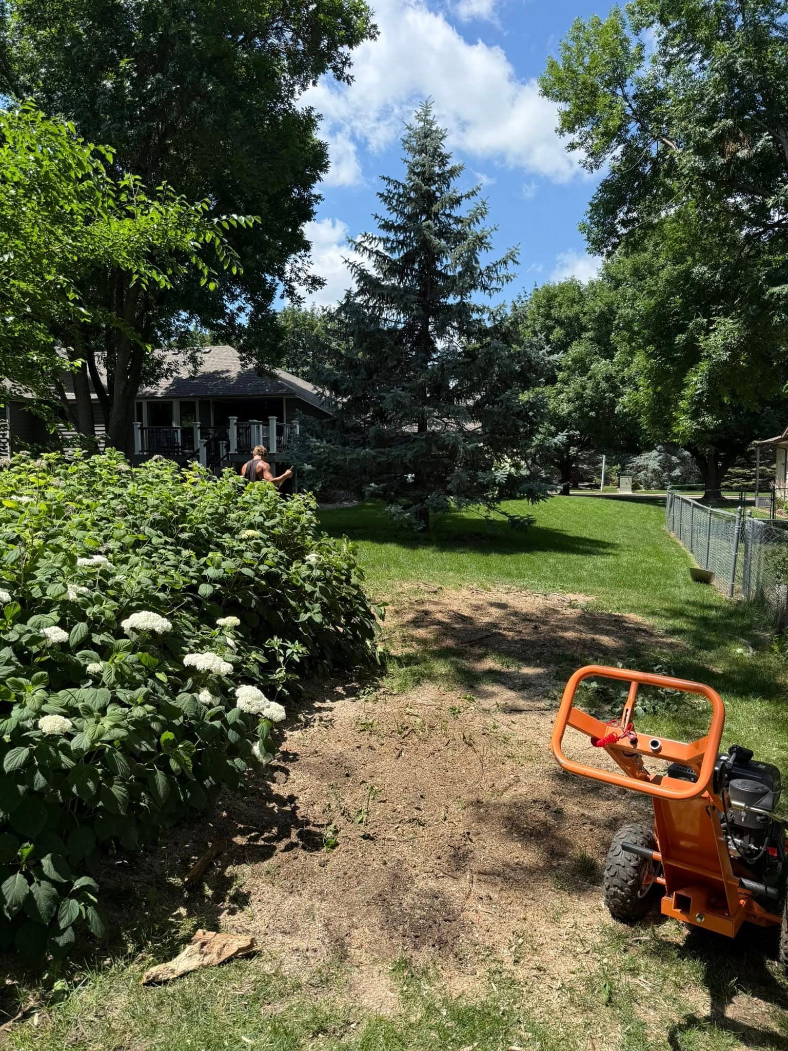 The stump grinder parked beside freshly ground earth where a backyard stump used to be