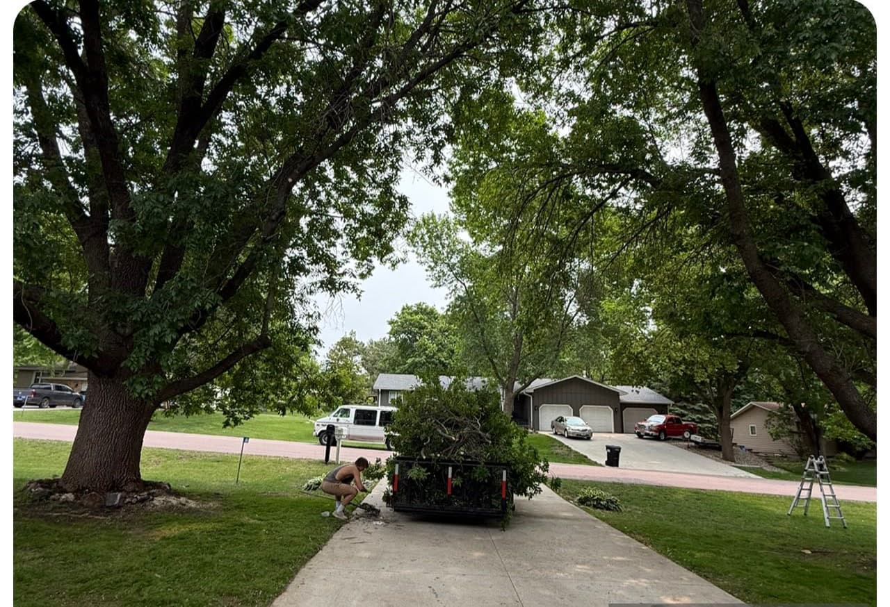 The trailer at the curb loaded with fresh trimmings from the same job
