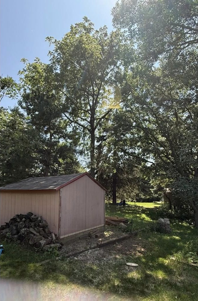 The same shed and woodpile with the leaning tree removed, open sky above